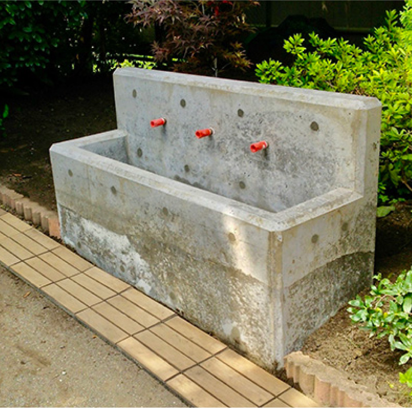 写真()